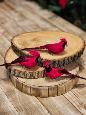 Trio de pássaros vermelhos 18cm