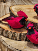 Trio de pássaros vermelhos 18cm